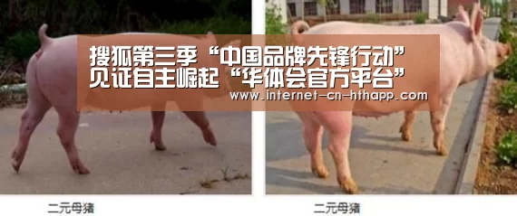 搜狐第三季“中国品牌先锋行动”见证自主崛起“华体会官方平台”