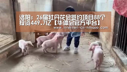 华体会官方平台